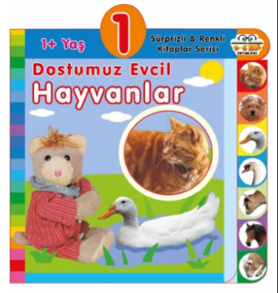 1+ Yaş – Dostumuz Evcil Hayvanlar