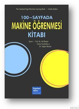 100-Sayfada Makine Öğrenmesi Kitabı