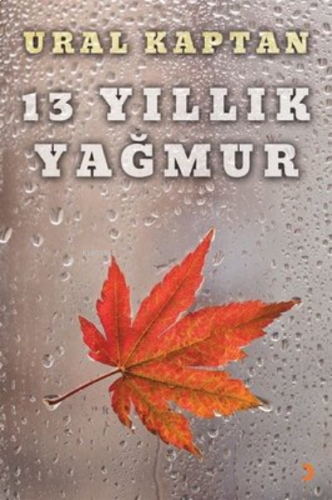 13 Yıllık Yağmur