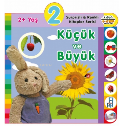 2+ Yaş Küçük ve Büyük