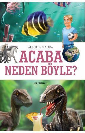 Acaba Neden Böyle?