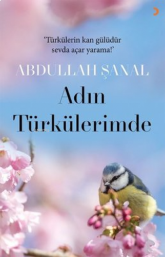 Adın Türkülerimde