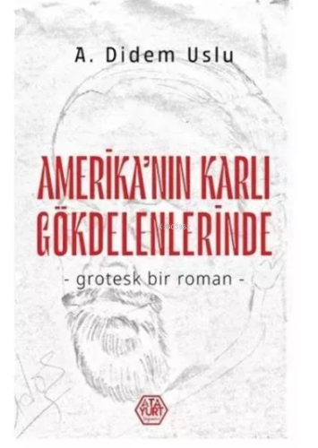 Amerika’nın Karlı Gökdelenlerinde