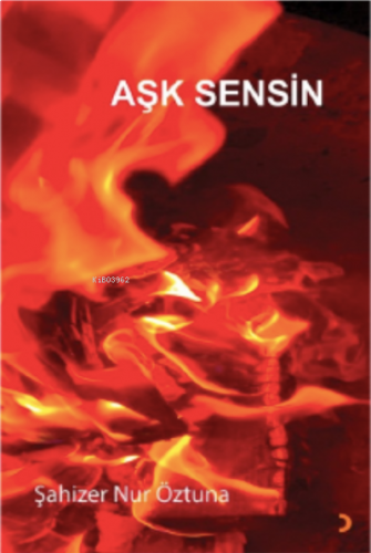 Aşk Sensin