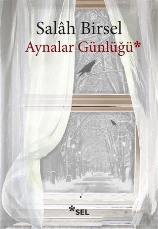 Aynalar Günlüğü