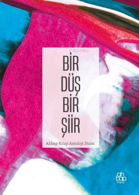 Bir Düş Bir Şiir