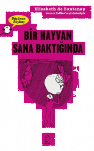 Bir Hayvan Sana Baktiğinda - Düşünen Baykuş