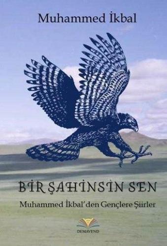 Bir Şahinsin Sen