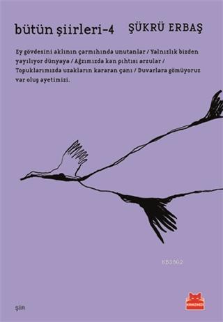 Bütün Şiirleri-4