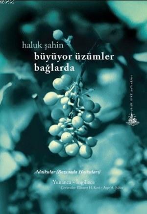 Büyüyor Üzümler Bağlarda; Adaikular (Bozcaada Haikuları)