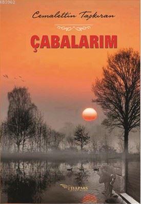 Çabalarım