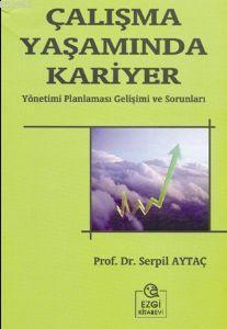 Çalışma Yaşamında Kariyer