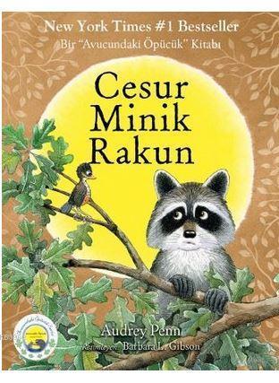 Cesur Minik Rakun