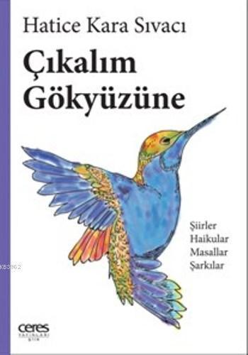 Çıkalım Gökyüzüne