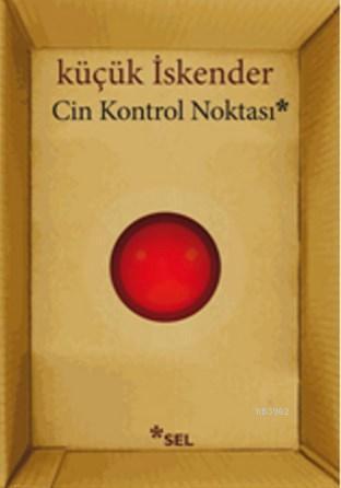 Cin Kontrol Noktası