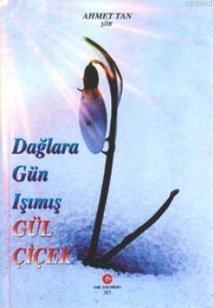 Dağlara Gün Işımış Gül Çiçek