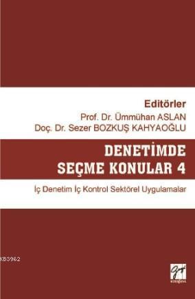 Denetimde Seçme Konular 4 İç Denetim İç Kontrol Sektörel Uygulamalar