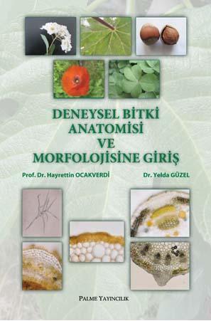 Deneysel Bitki Anatomisi ve Morfolojisine Giriş