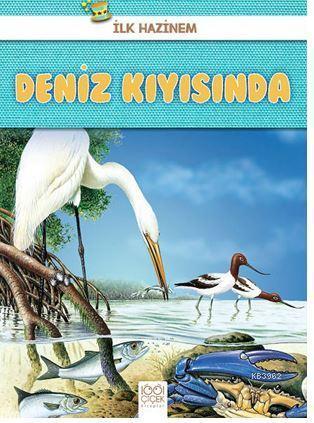 Deniz Kıyısında - İlk Hazinem