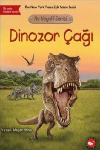 Dinozor Çağı