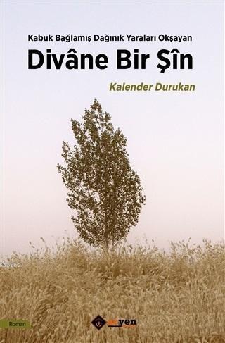 Divane Bir Şin