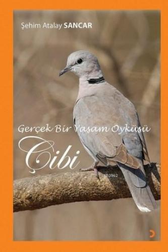 Gerçek Bir Yaşam Öyküsü Çibi