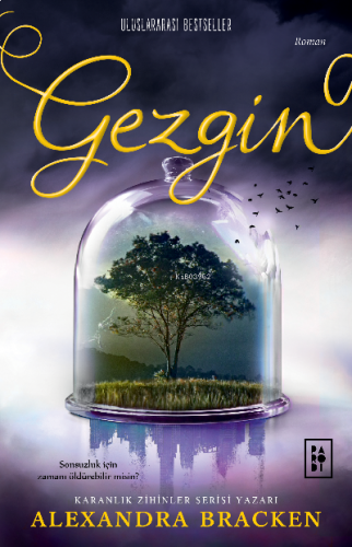 Yolcu Serisi 2. Kitap - Gezgin (ciltli)