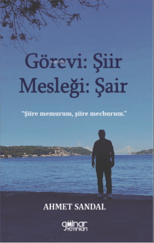 Görevi Şiir Mesleği Şair