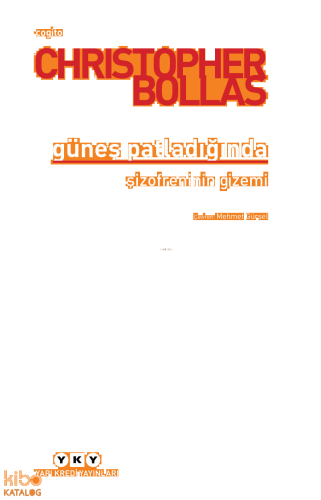 Güneş Patladığında Şizofreninin Gizemi