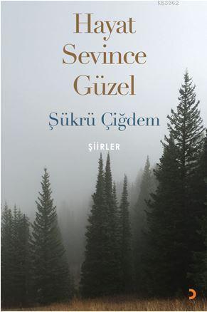 Hayat Sevince Güzel