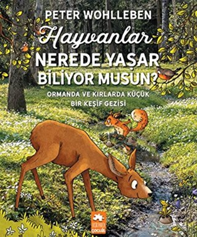 Hayvanlar Nerede Yaşar Biliyor Musun? Ormanda ve Kırlarda Küçük Bir Ke