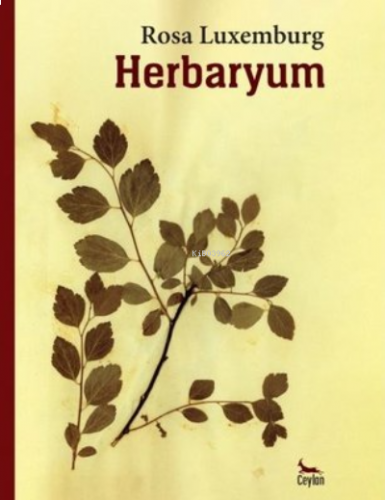 Herbaryum