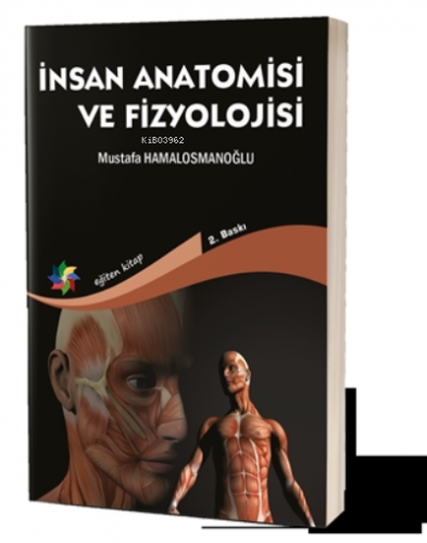 İnsan Anatomisi ve Fizyolojisi