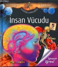 İnsan Vucudu