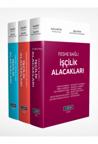 İşçilik Alacakları (3 Cilt)