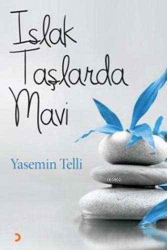 Islak Taşlarda Mavi