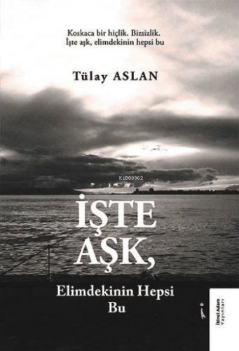 İşte Aşk Elimdekinin Hepsi Bu