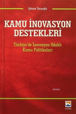 Kamu İnovasyon Destekleri