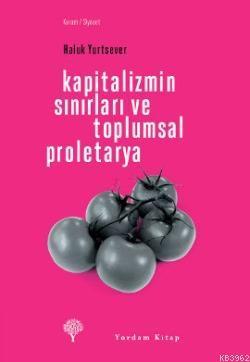 Kapitalizmin Sınırları ve Toplumsal Proletarya