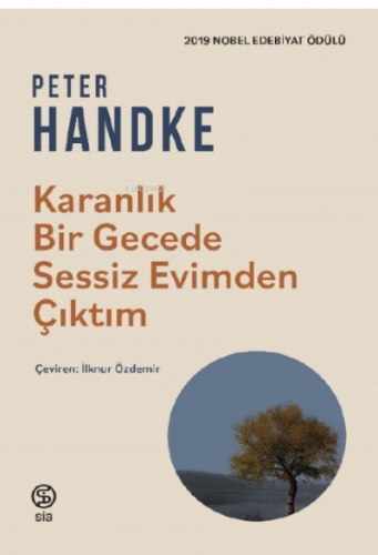 Karanlık Bir Gecede Sessiz Evimden Çıktım