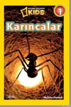 Karıncalar