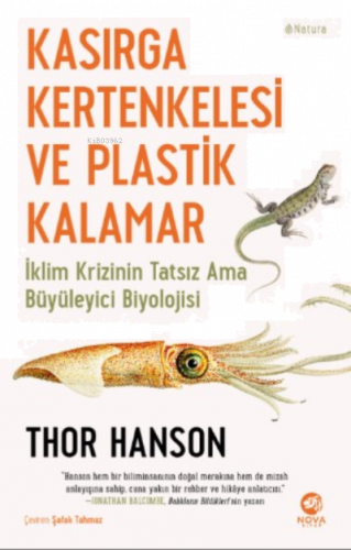 Kasırga Kertenkelesi ve Plastik Kalamar