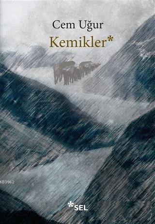 Kemikler