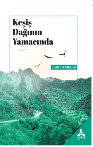 Keşiş Dağının Yamacında