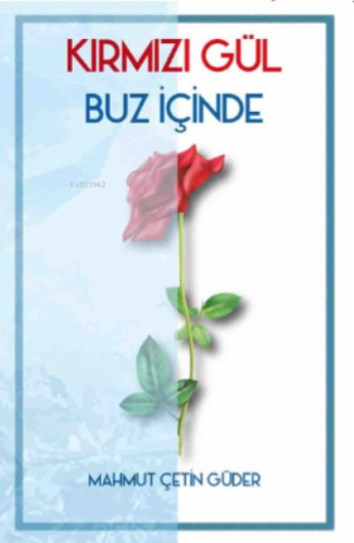 Kırmızı Gül Buz İçinde Yıldızlar