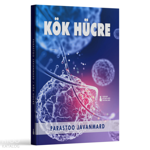 Kök Hücre