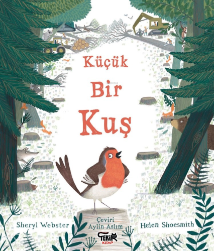 Küçük Bir Kuş