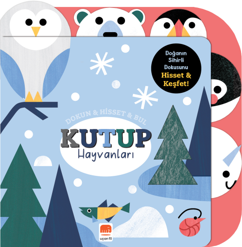 Kutup Hayvanları ;Dokun & Hisset & Bul