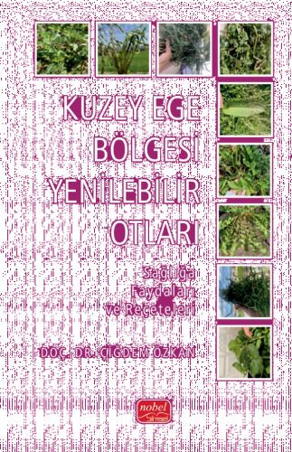 Kuzey Ege Bölgesi Yenilebilir Otları;Sağlığa Faydaları ve Reçeteleri