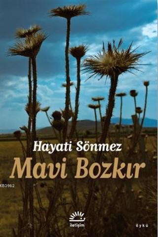 Mavi Bozkır